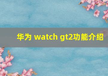 华为 watch gt2功能介绍